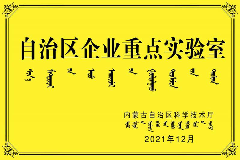 自治區(qū)企業(yè)重點(diǎn)實(shí)驗(yàn)室